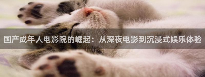 天美星空影视