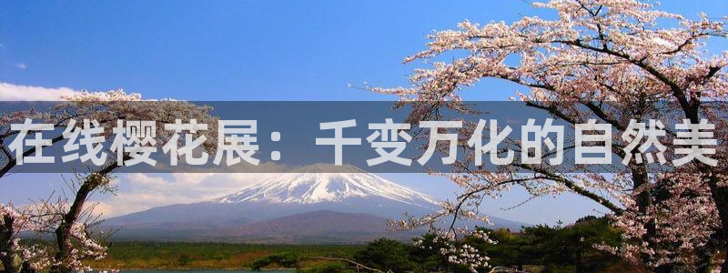 娄底蜜桃视频今日电影