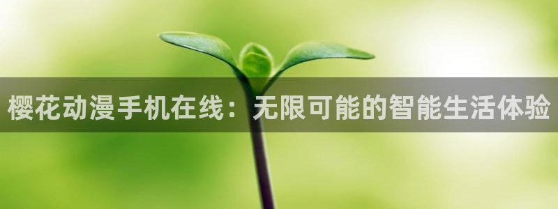 星空影视大全免费观看高清