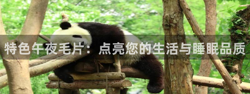 星空影视手机版官网