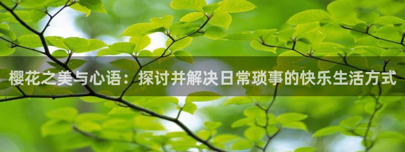 星空动漫网官网在线观看免费