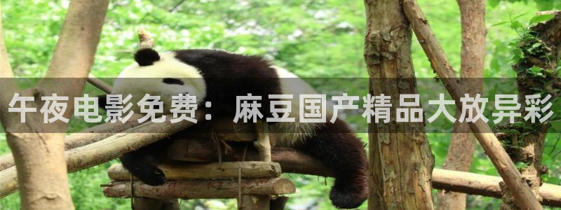 蜜桃视频在线观看免费完整版