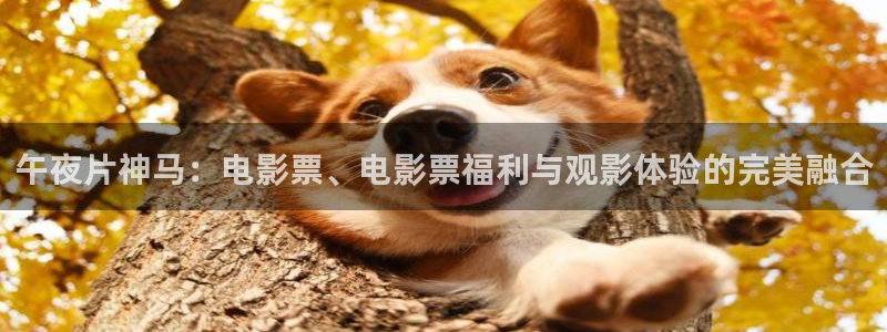 星空影视安全吗