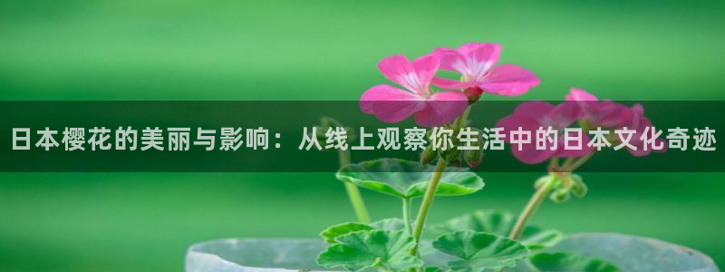 星空电影院在线观看播放