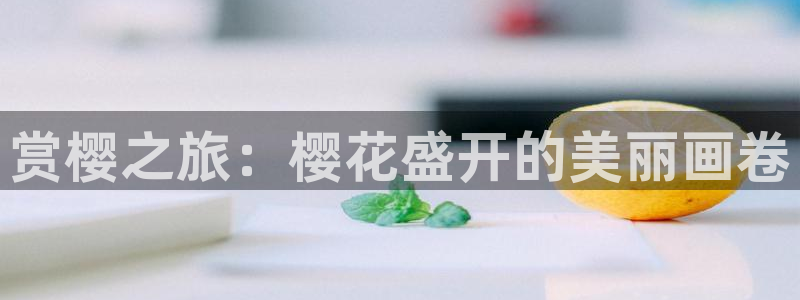 星空无限影视传媒av