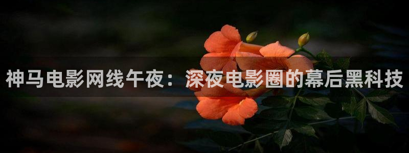 蜜桃视频影讯
