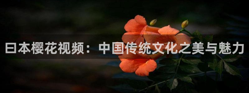 蜜桃视频最新电影免费看
