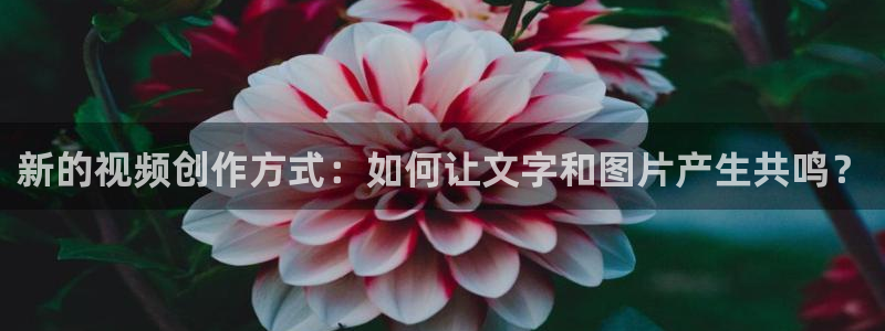星空视频影院