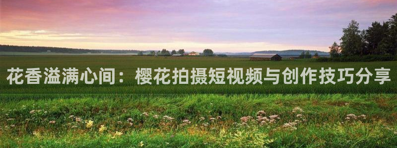 星空影视vip