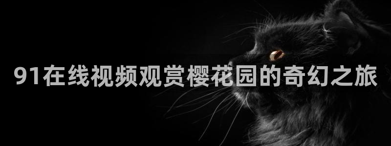 蜜桃视频电视