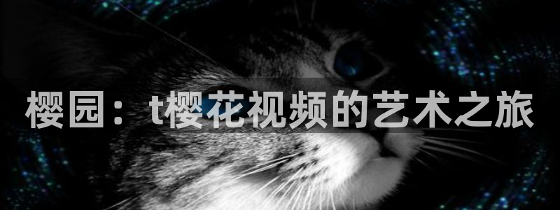 一片星空