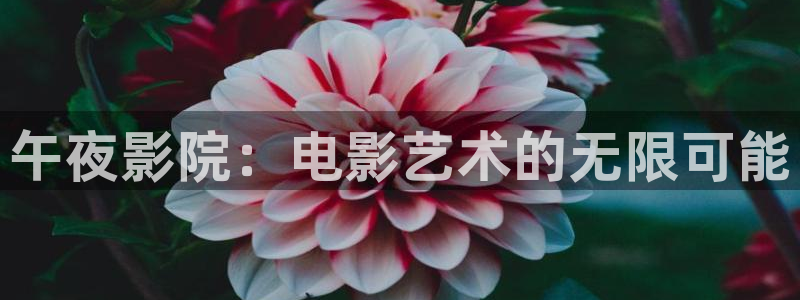 蜜桃视频免费在线观看