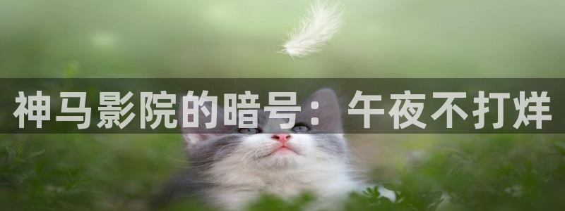 蜜桃视频韩国