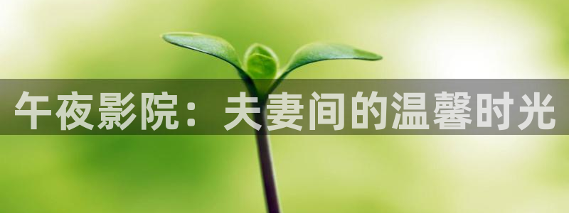 星空影视在线观看免费观看电视