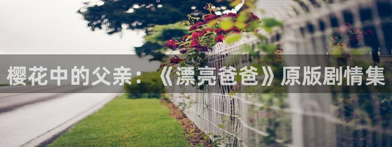 蜜桃视频 羞羞答答